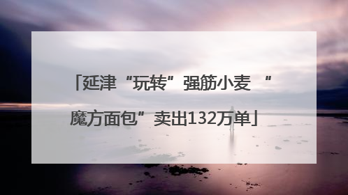 延津“玩转”强筋小麦 “魔方面包”卖出132万单