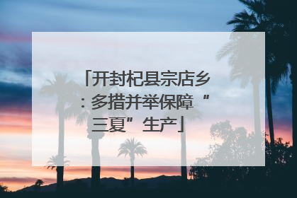开封杞县宗店乡：多措并举保障“三夏”生产