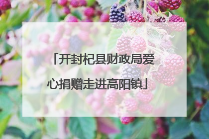 开封杞县财政局爱心捐赠走进高阳镇