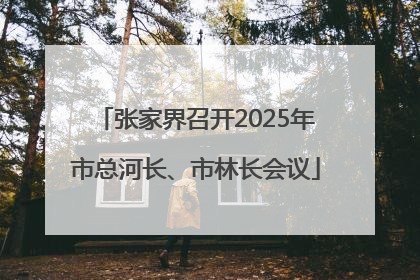 张家界召开2025年市总河长、市林长会议