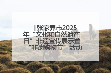 张家界市2025年“文化和自然遗产日”非遗宣传展示暨“非遗购物节”活动在慈利县盛大启幕