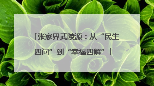 张家界武陵源：从“民生四问”到“幸福四解”