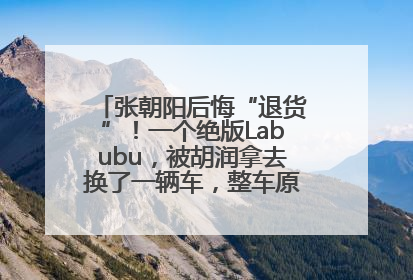 张朝阳后悔“退货”！一个绝版Labubu，被胡润拿去换了一辆车，整车原价值上百万元