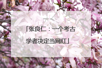 张良仁：一个考古学者决定当网红