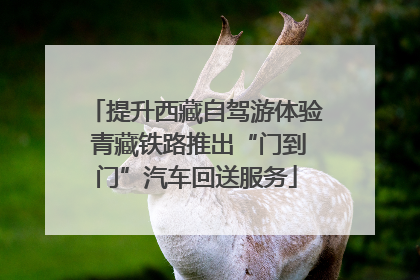 提升西藏自驾游体验 青藏铁路推出“门到门”汽车回送服务