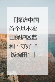 探访中国首个基本农田保护区监利：守好“饭碗田”