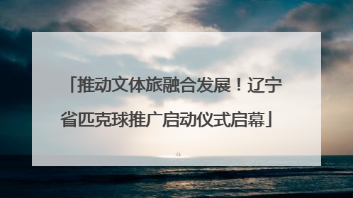 推动文体旅融合发展！辽宁省匹克球推广启动仪式启幕