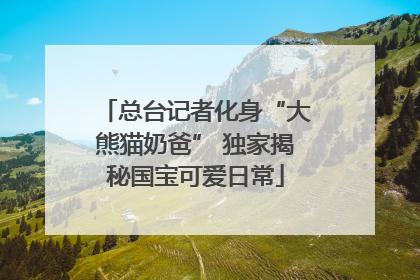 总台记者化身“大熊猫奶爸” 独家揭秘国宝可爱日常