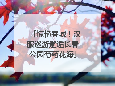 惊艳春城！汉服巡游邂逅长春公园芍药花海