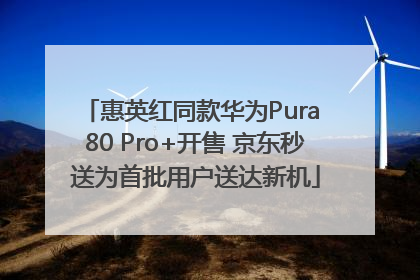 惠英红同款华为Pura 80 Pro+开售 京东秒送为首批用户送达新机
