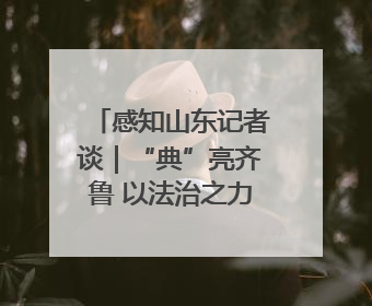 感知山东记者谈｜“典”亮齐鲁 以法治之力护航民生与营商环境