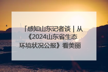 感知山东记者谈｜从《2024山东省生态环境状况公报》看美丽山东建设的“成绩单”与“任务书”