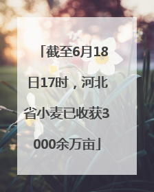 截至6月18日17时，河北省小麦已收获3000余万亩