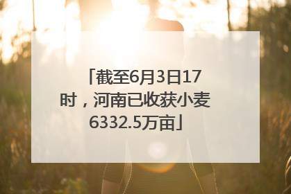截至6月3日17时，河南已收获小麦6332.5万亩