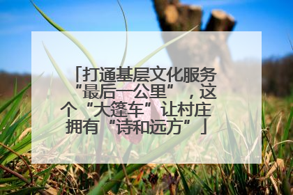 打通基层文化服务“最后一公里”，这个“大篷车”让村庄拥有“诗和远方”