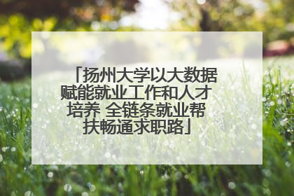 扬州大学以大数据赋能就业工作和人才培养 全链条就业帮扶畅通求职路