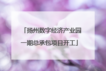 扬州数字经济产业园一期总承包项目开工