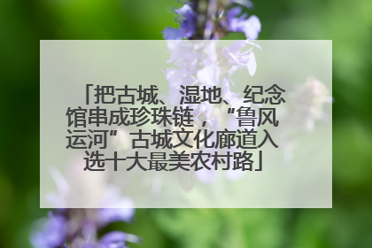 把古城、湿地、纪念馆串成珍珠链，“鲁风运河”古城文化廊道入选十大最美农村路