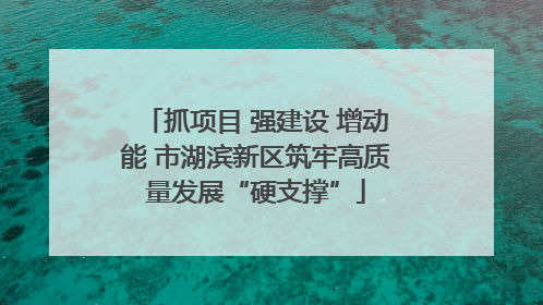 抓项目 强建设 增动能 市湖滨新区筑牢高质量发展“硬支撑”