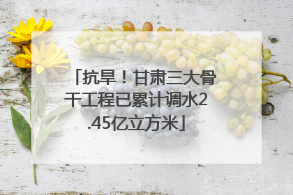 抗旱！甘肃三大骨干工程已累计调水2.45亿立方米