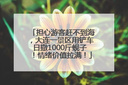 担心游客赶不到海，大连一景区用铲车日撒1000斤蚬子！情绪价值拉满！