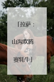 拉萨：山沟欢腾赛牦牛