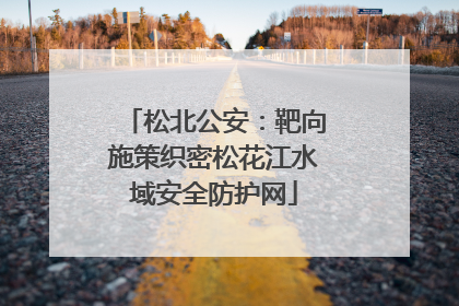 松北公安：靶向施策织密松花江水域安全防护网