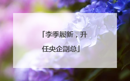 李季履新，升任央企副总
