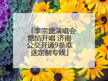 李宗盛演唱会燃情开唱 济南公交开通9条歌迷定制专线