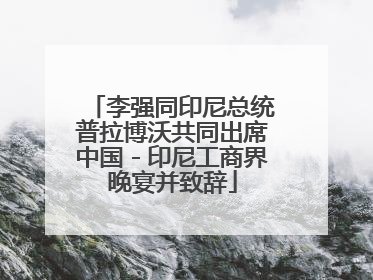 李强同印尼总统普拉博沃共同出席中国－印尼工商界晚宴并致辞