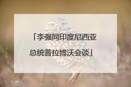 李强同印度尼西亚总统普拉博沃会谈