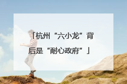 杭州“六小龙”背后是“耐心政府”