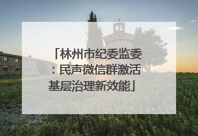 林州市纪委监委：民声微信群激活基层治理新效能