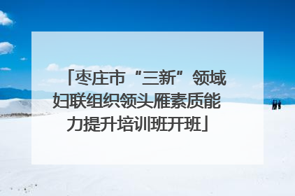 枣庄市“三新”领域妇联组织领头雁素质能力提升培训班开班