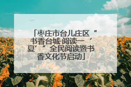 枣庄市台儿庄区“书香台城·阅读一‘夏’”全民阅读暨书香文化节启动