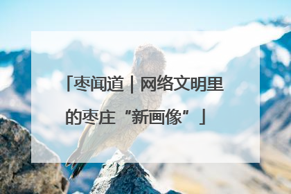 枣闻道｜网络文明里的枣庄“新画像”