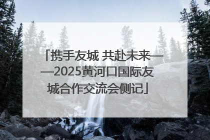 携手友城 共赴未来——2025黄河口国际友城合作交流会侧记