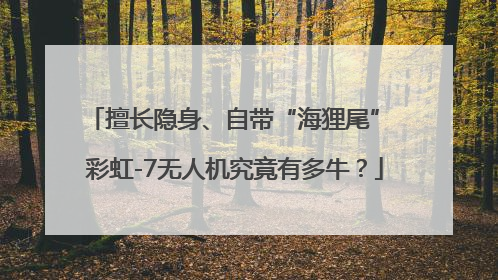 擅长隐身、自带“海狸尾” 彩虹-7无人机究竟有多牛？