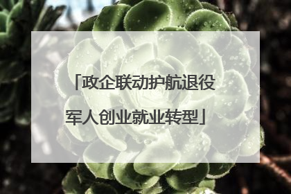 政企联动护航退役军人创业就业转型