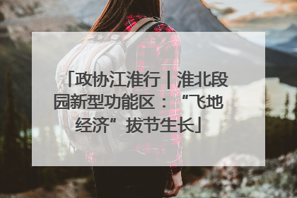 政协江淮行｜淮北段园新型功能区：“飞地经济”拔节生长