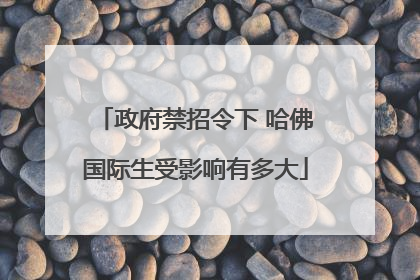 政府禁招令下 哈佛国际生受影响有多大