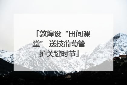 敦煌设“田间课堂” 送技葡萄管护关键时节