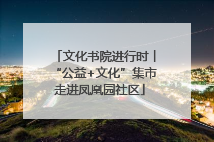 文化书院进行时丨“公益+文化”集市走进凤凰园社区