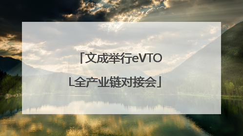 文成举行eVTOL全产业链对接会