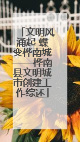 文明风涌起 蝶变桦南城——桦南县文明城市创建工作综述