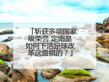 斩获多项国家级荣誉 定南是如何下活足球改革这盘棋的？