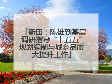 新田：陈雄到基层调研指导“十五五”规划编制与城乡品质大提升工作