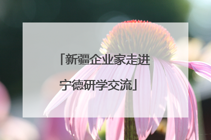新疆企业家走进宁德研学交流