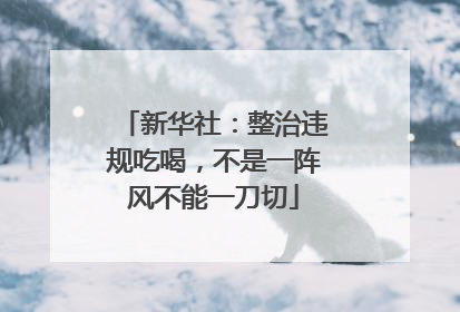 新华社：整治违规吃喝，不是一阵风不能一刀切