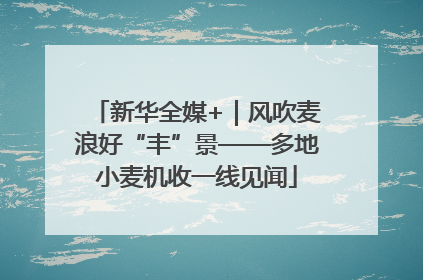 新华全媒+｜风吹麦浪好“丰”景——多地小麦机收一线见闻